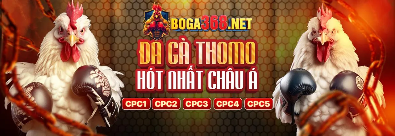 Hình ảnh tổng quan nền tảng cá cược Betking chính thức